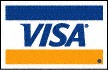VISA card logo